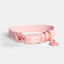 Load image into Gallery viewer, Valgray Splash Proof Adjustable Dog Collar