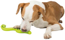 Load image into Gallery viewer, Trixie Snack Snake
