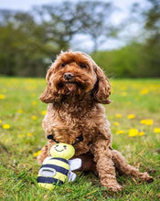 Load image into Gallery viewer, Rosewood Flingerz Throw Toy