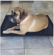 Load image into Gallery viewer, Hound Sleeper Black & Beige Patio