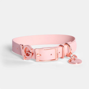 Valgray Splash Proof Adjustable Dog Collar