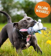 Load image into Gallery viewer, Rosewood Flingerz Throw Toy
