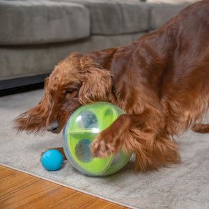 Outward Hound A-Maze Ball
