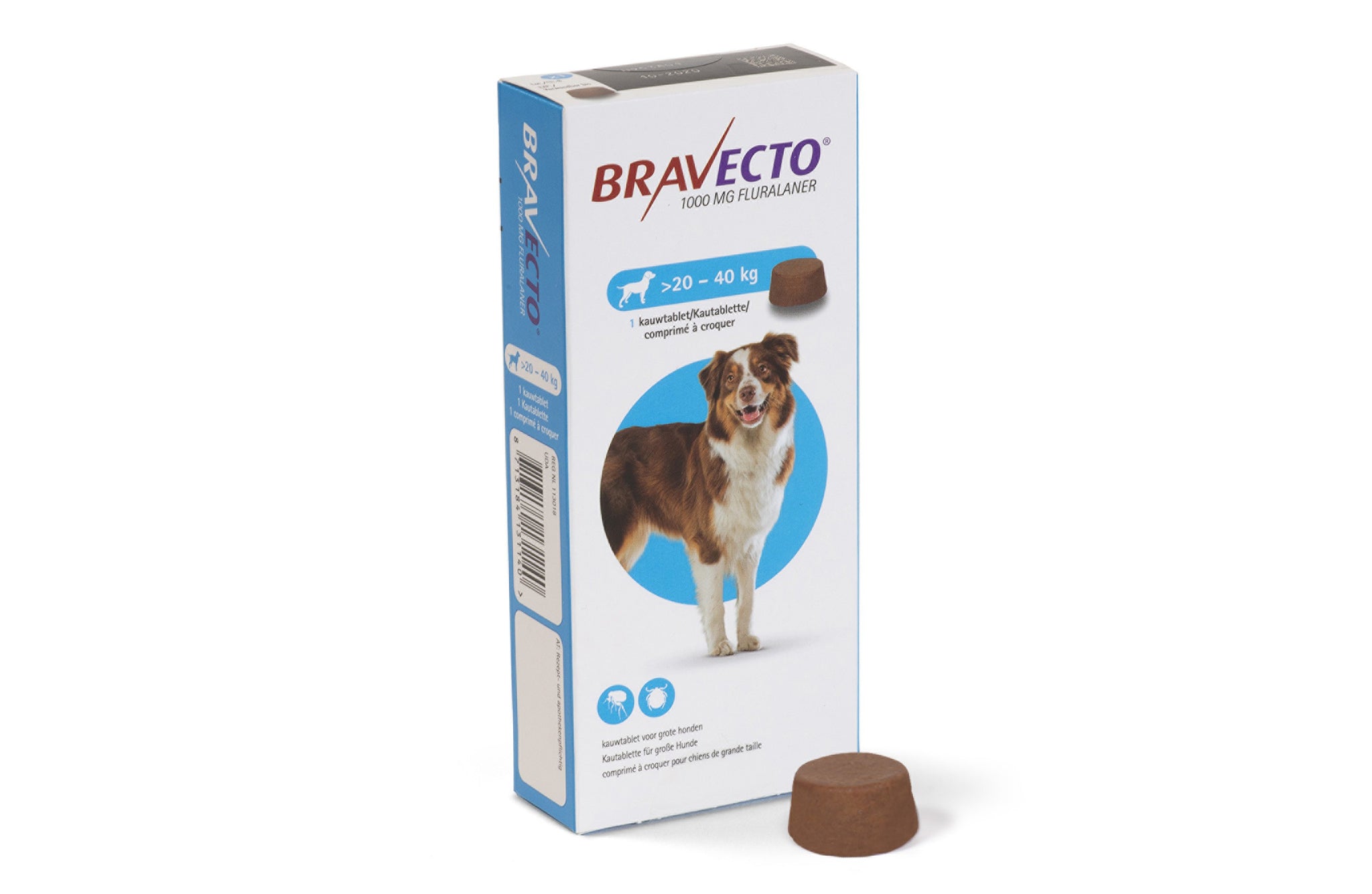 Bravecto – The Dog Club Pet