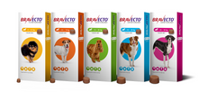 Load image into Gallery viewer, Bravecto Chews for Dogs
