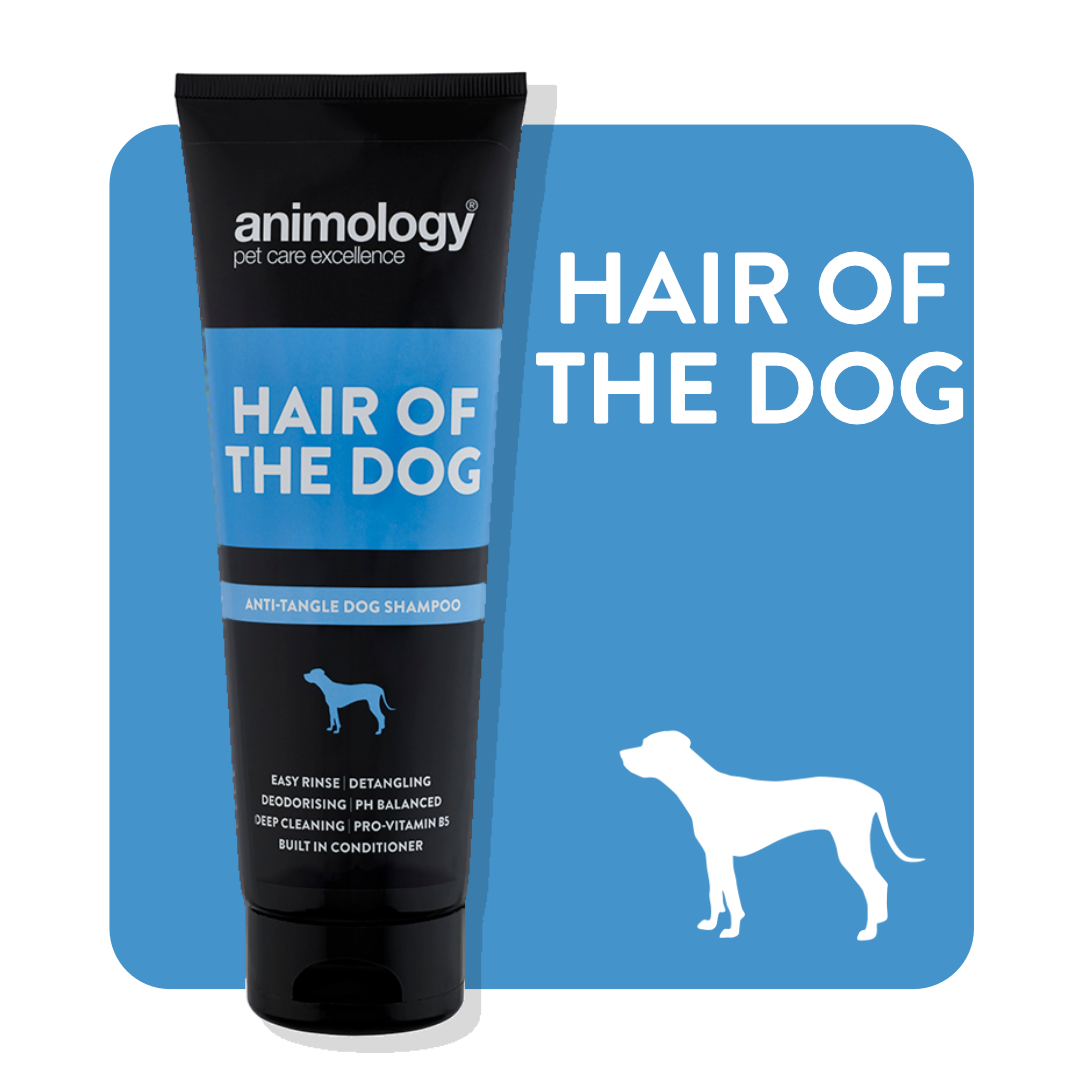 Animology Hair of the Dog Anti Tangle Dog Shampoo The Dog Club