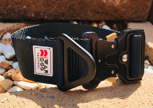 War Dog Collars
