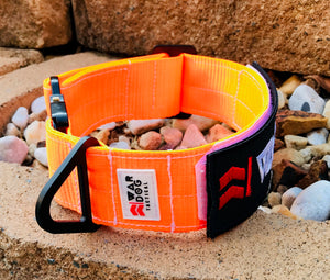 War Dog Collars