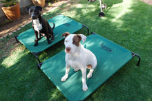 Load image into Gallery viewer, Hound Sleeper Green Canvas Dog Sleeper
