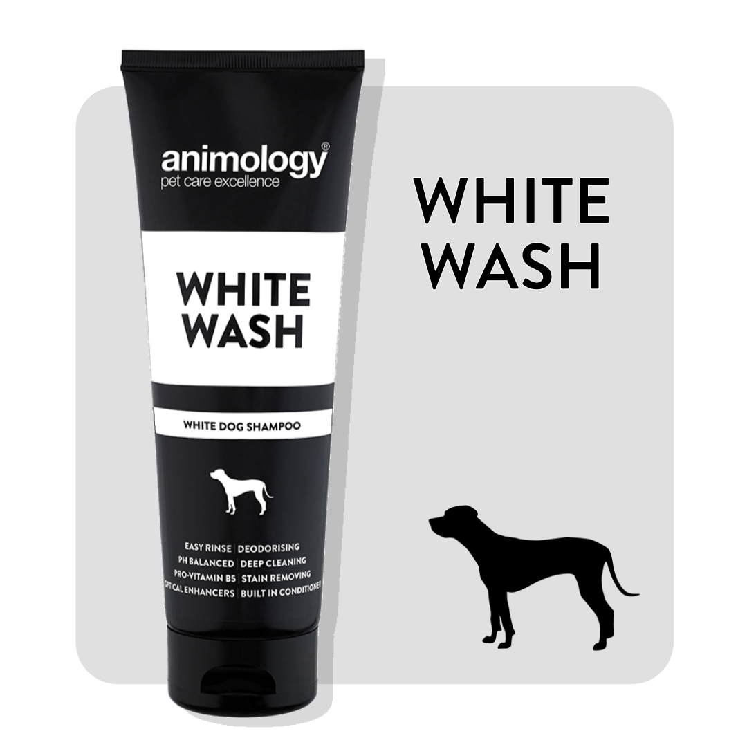 Animology dog shampoo best sale