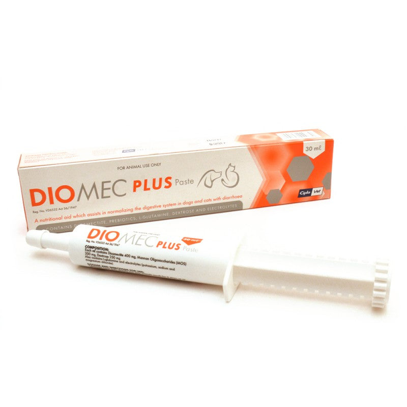 DioMec Plus Paste