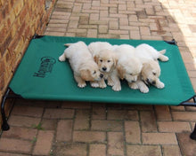 Load image into Gallery viewer, Hound Sleeper Green Canvas Dog Sleeper
