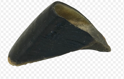 Beef Hooves