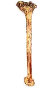 Ostrich Bone